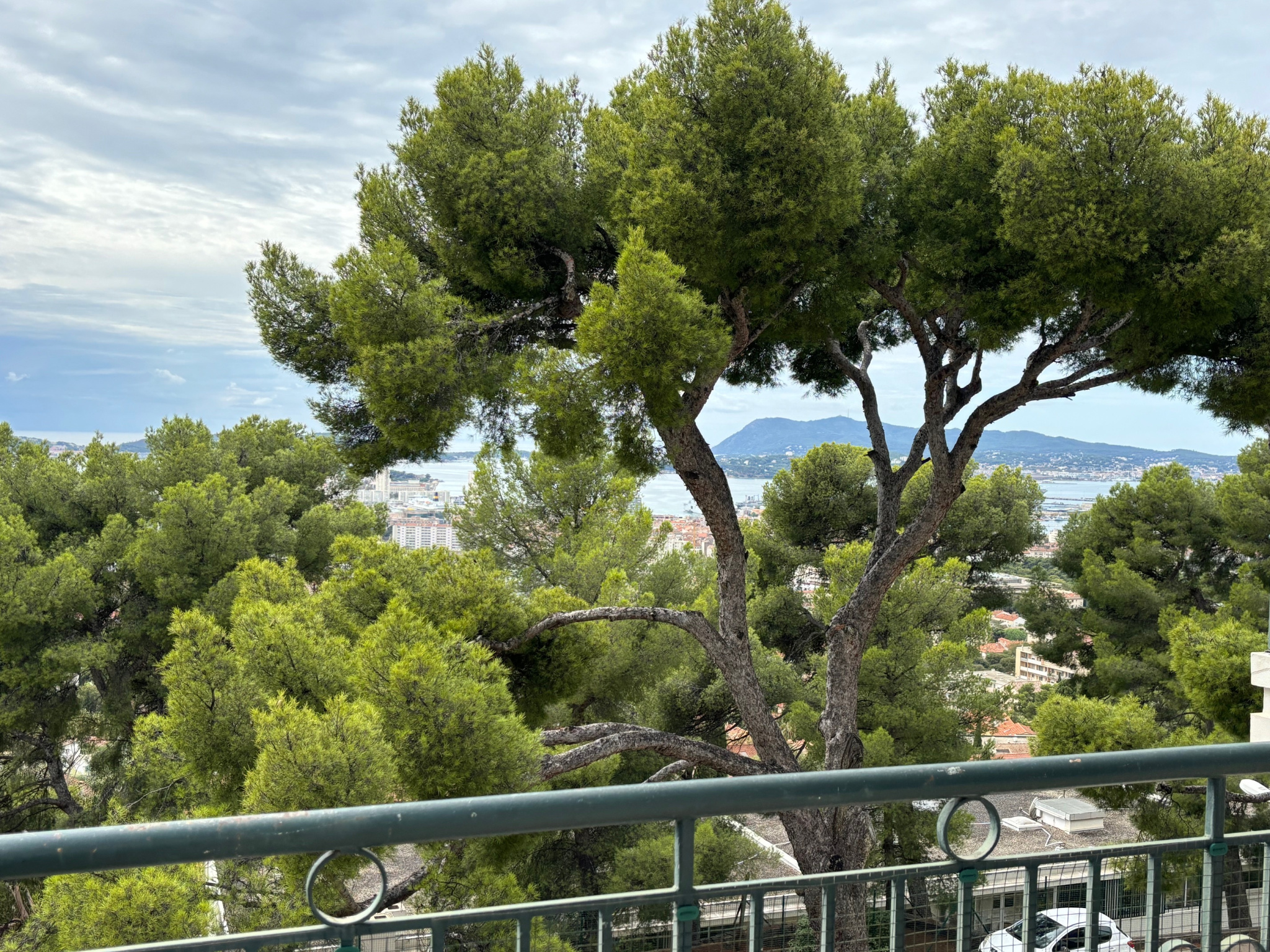 Agence immobilière de Agence de l'Avenir