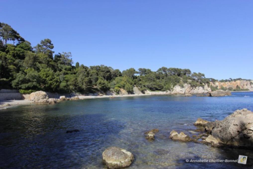 Agence immobilière de Agence de l'Avenir